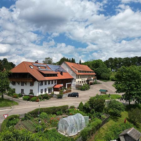 Dachsberg im Schwarzwald Haus Schlageter 아파트 외부 사진