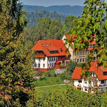 Dachsberg im Schwarzwald Haus Schlageter 아파트 외부 사진
