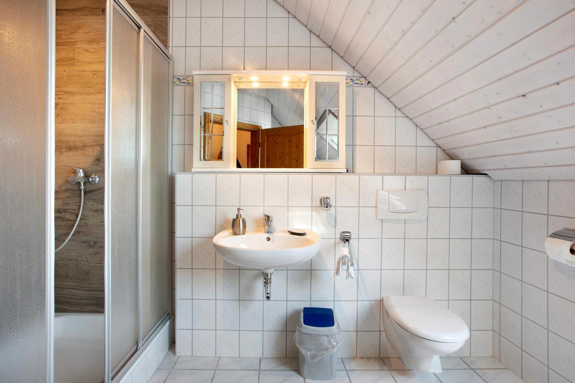 Dachsberg im Schwarzwald Haus Schlageter 아파트 외부 사진