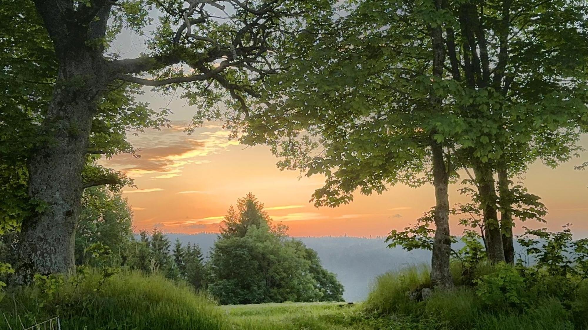 Dachsberg im Schwarzwald Haus Schlageter 아파트 외부 사진