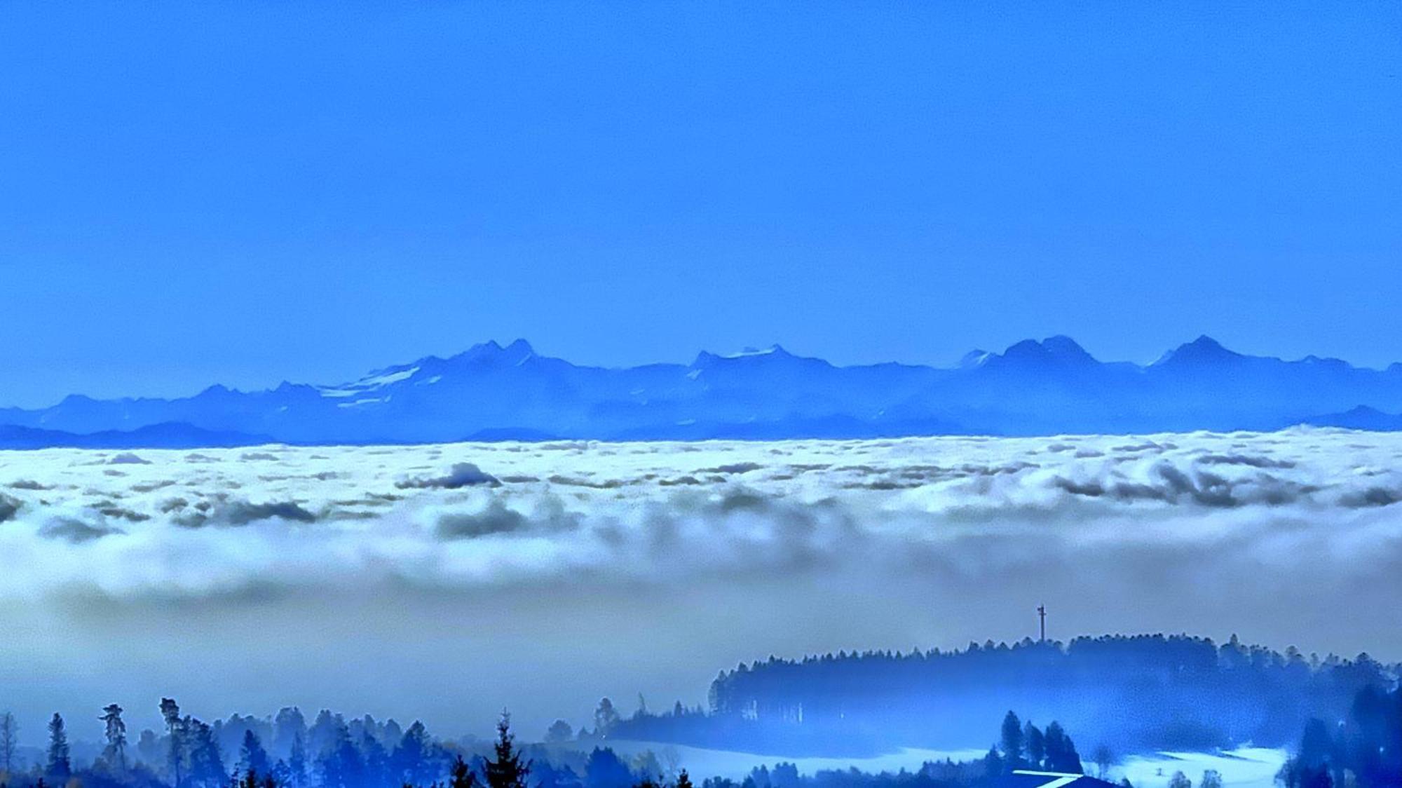 Dachsberg im Schwarzwald Haus Schlageter 아파트 외부 사진