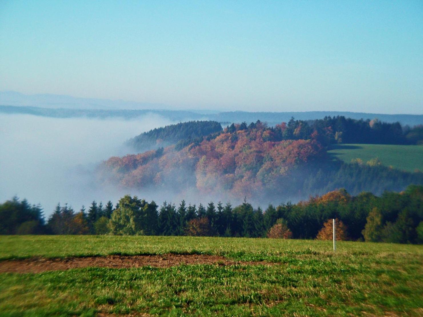 Dachsberg im Schwarzwald Haus Schlageter 아파트 외부 사진