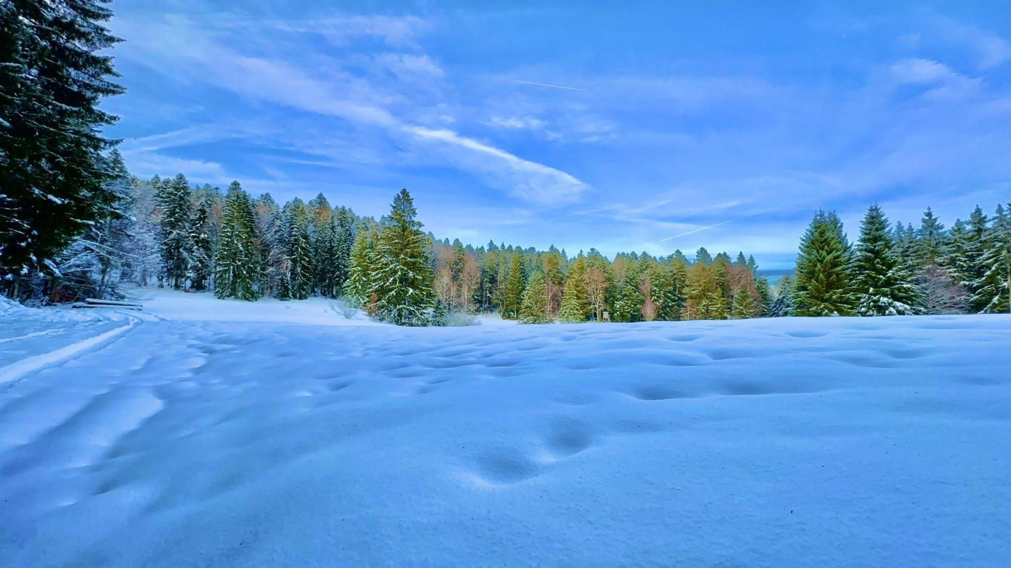 Dachsberg im Schwarzwald Haus Schlageter 아파트 외부 사진