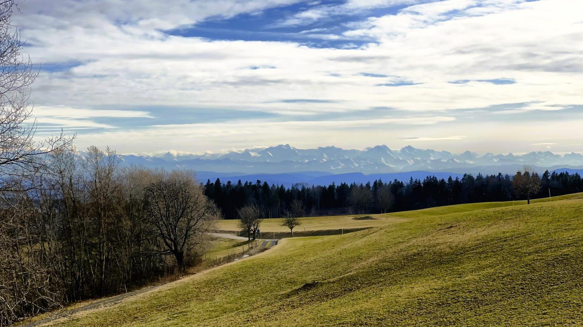 Dachsberg im Schwarzwald Haus Schlageter 아파트 외부 사진