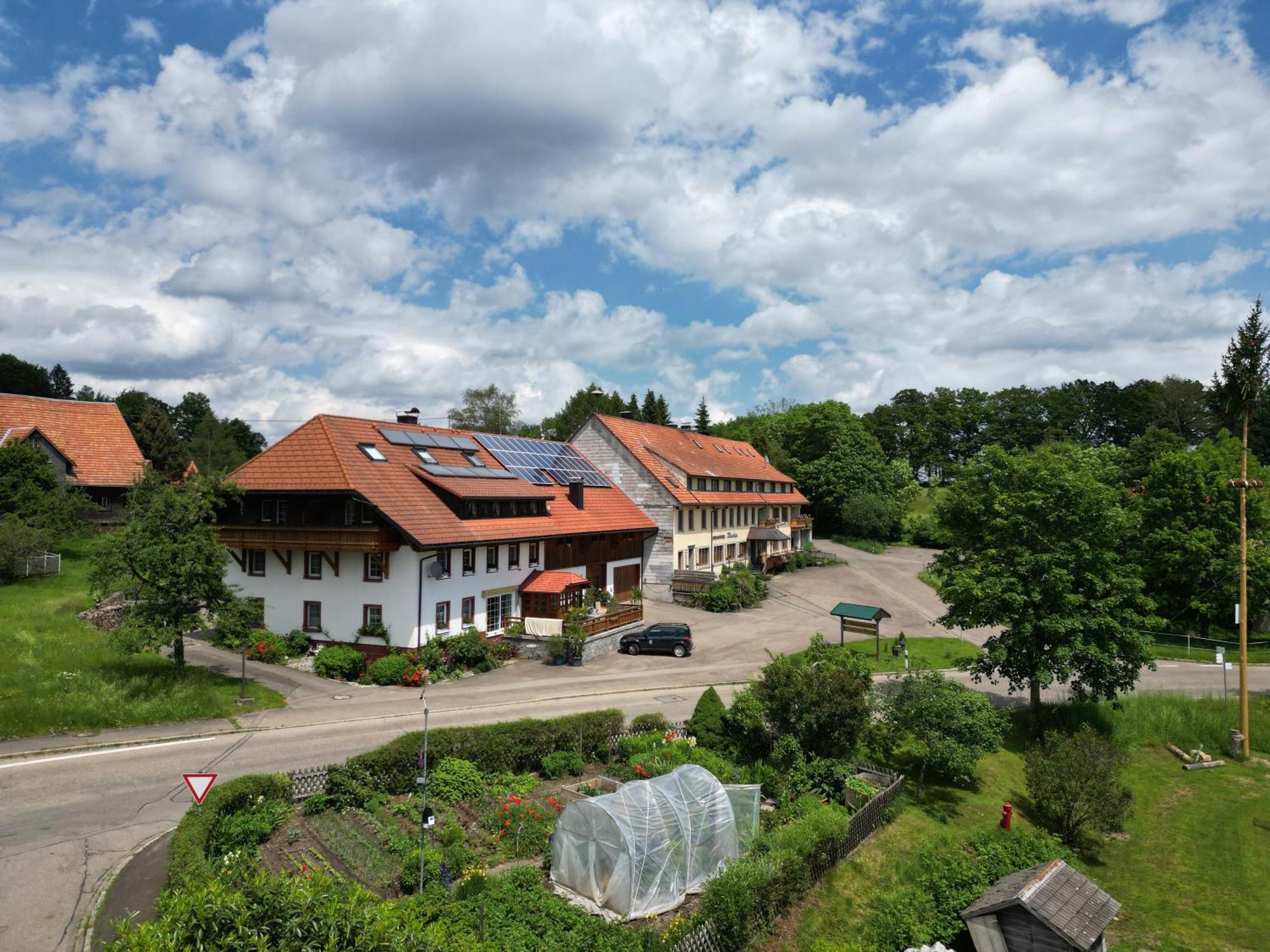 Dachsberg im Schwarzwald Haus Schlageter 아파트 외부 사진