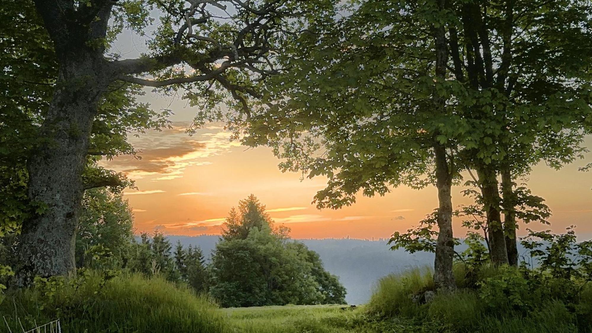 Dachsberg im Schwarzwald Haus Schlageter 아파트 외부 사진
