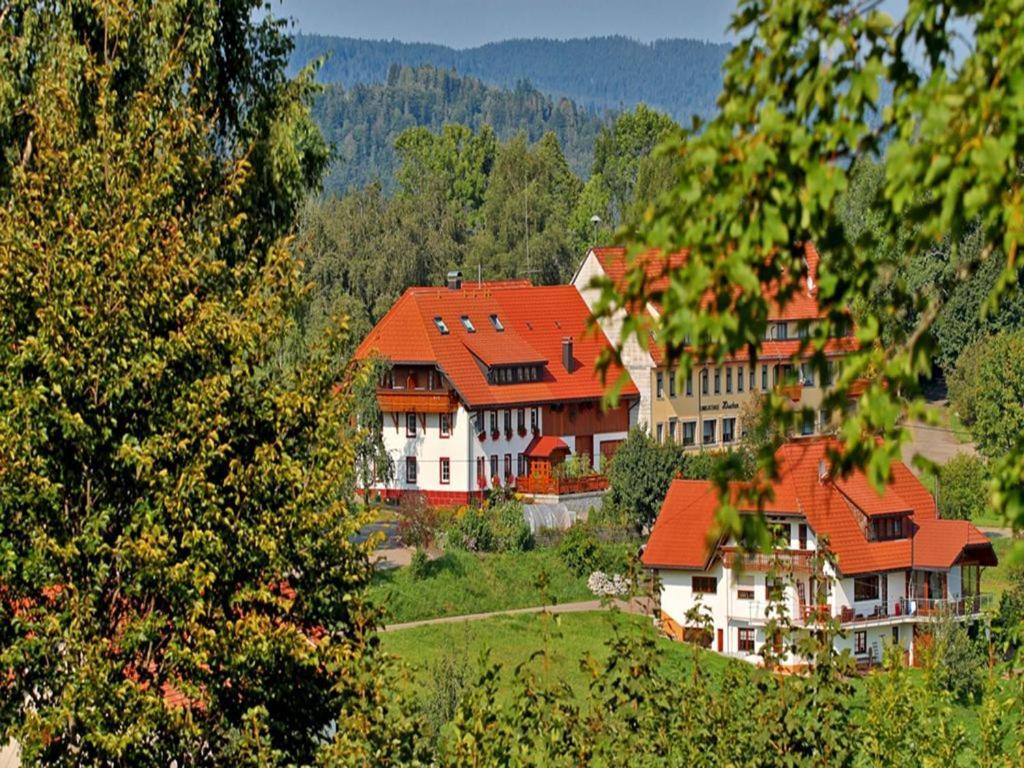 Dachsberg im Schwarzwald Haus Schlageter 아파트 외부 사진